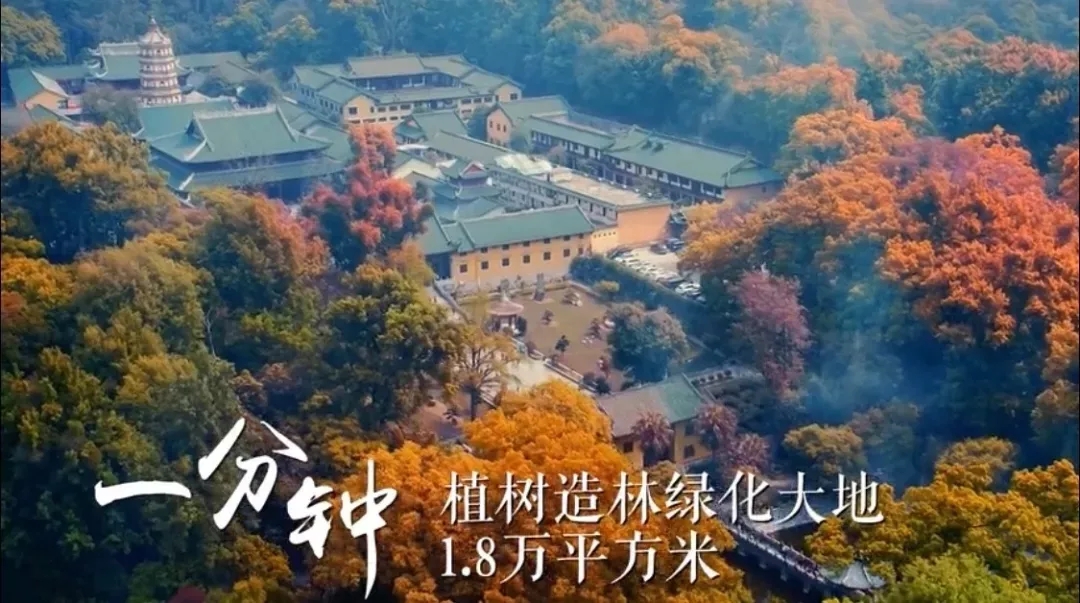 《广东1分钟》 《广东1分钟》